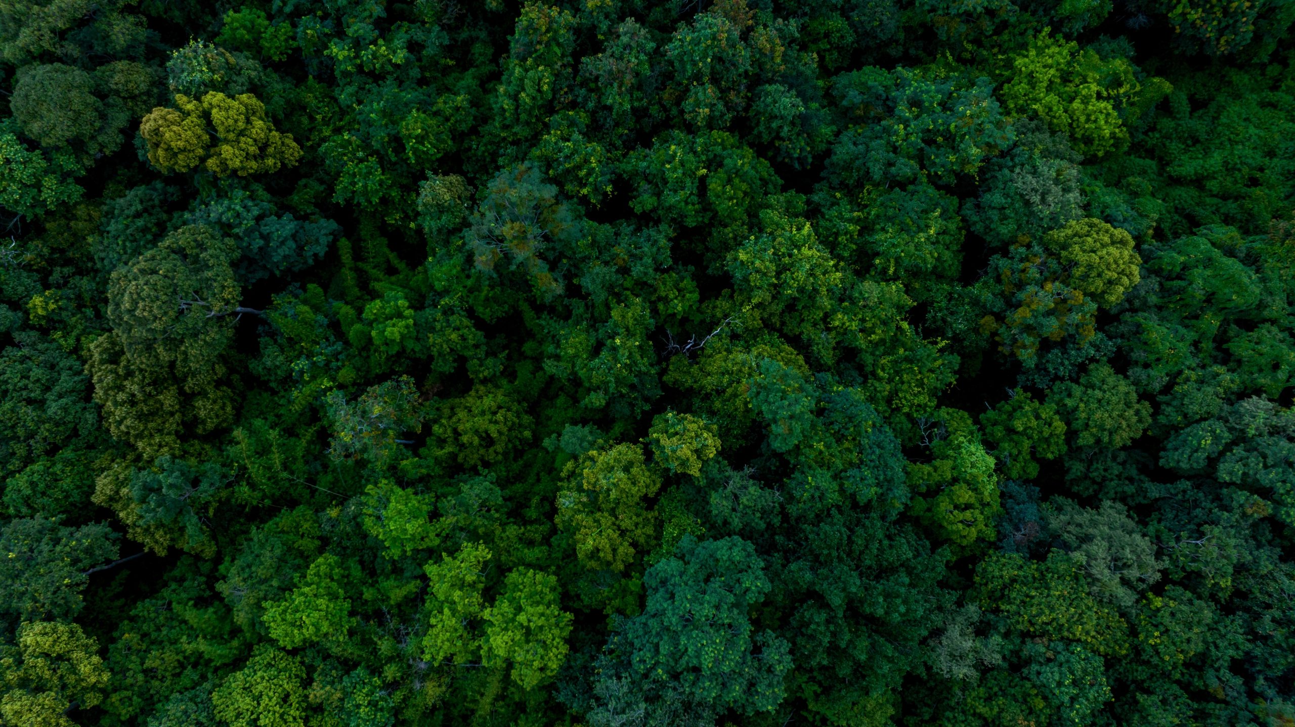 040177608c297e5070a956c205e677f89a9167da